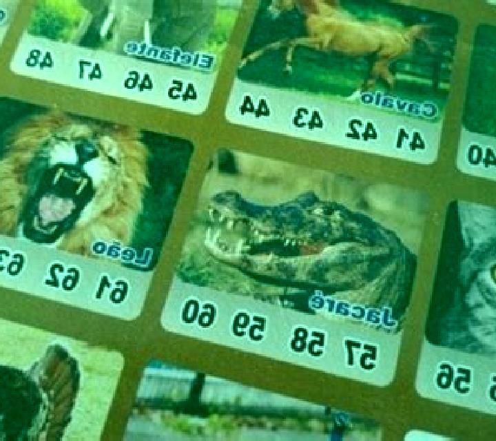 Jogo do Bicho: Zebra Prêmios slot