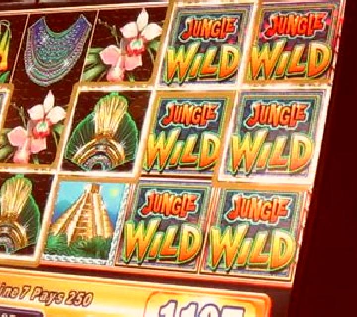 Jr. Jungle slot machine