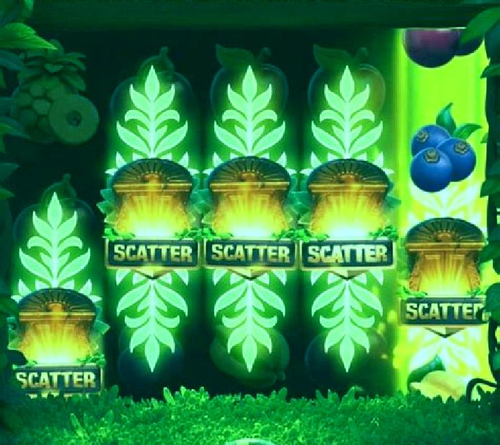 Jungle Delight online slot