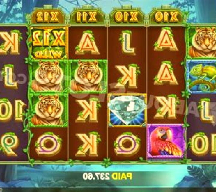 Jungle Fortune slot