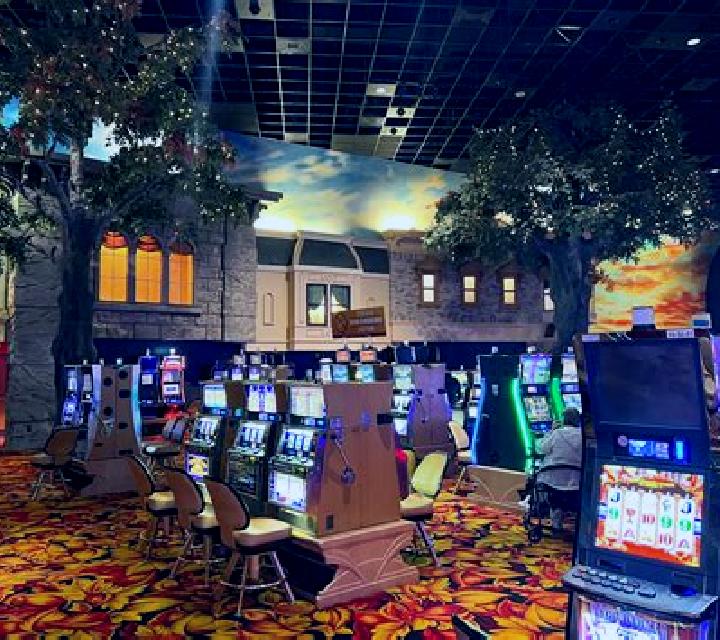 Jungle King (Wager Gaming) online slot