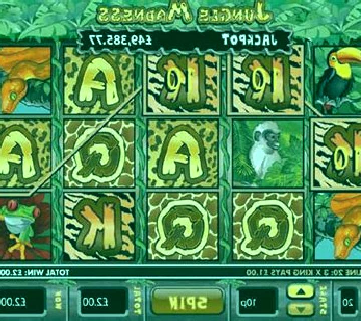 Jungle Madness slot game