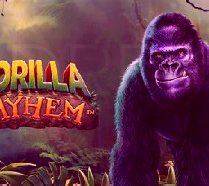 Jungle Mayhem slot machine