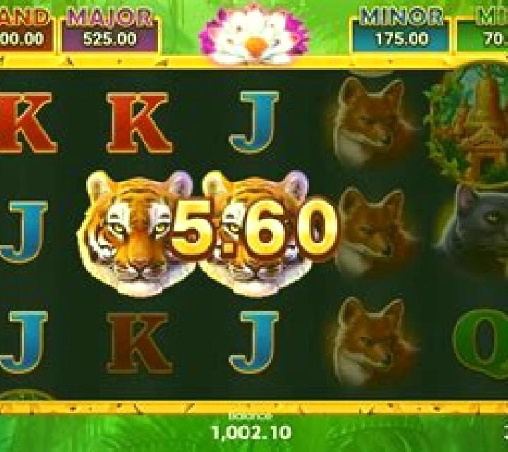 Jungle Wealth Hold And Win slot game