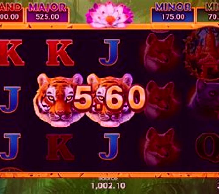 Jungle Wealth Hold And Win slot machine