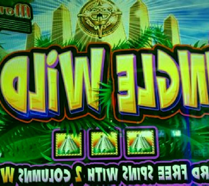 Jungle Wild II slot game
