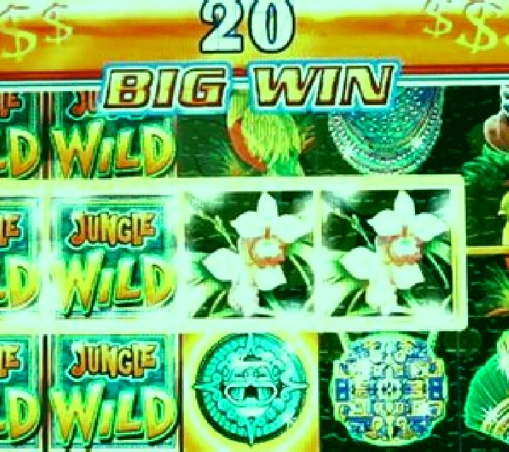 Jungle Wild II slot machine