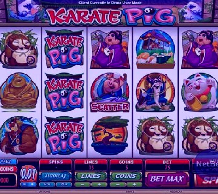 Karate Pig slot machine