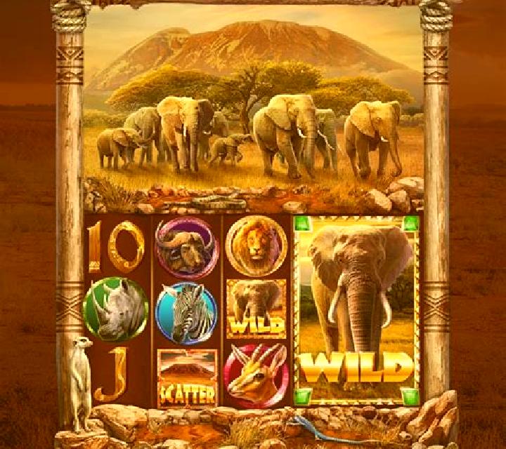 King of Safari online slot