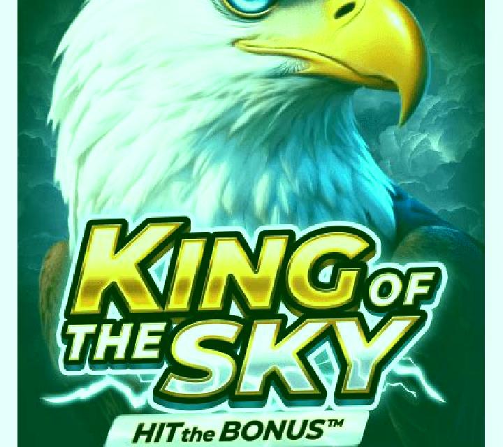 King of the Sky: Hit the Bonus slot machine