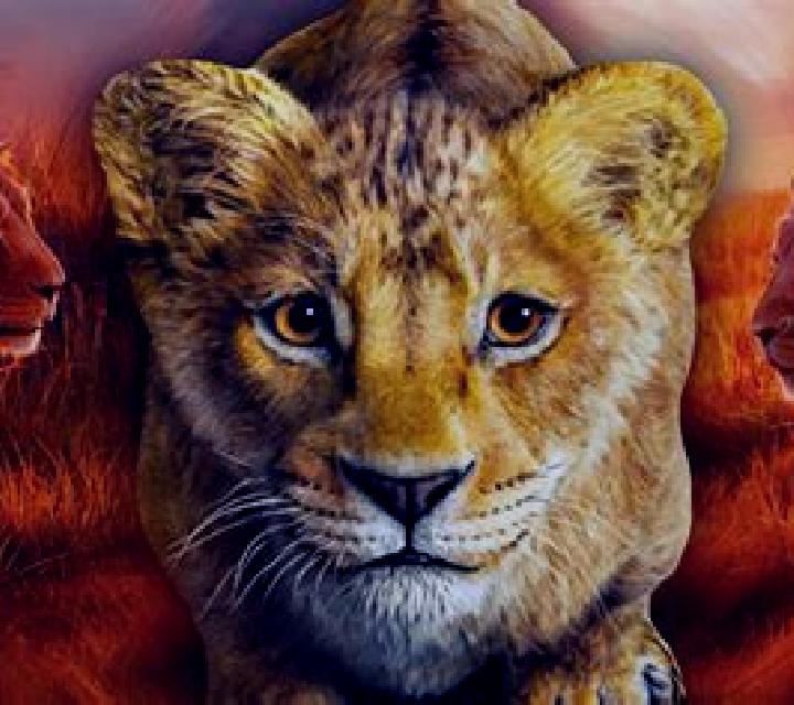 King The Lion Heart SA slot game