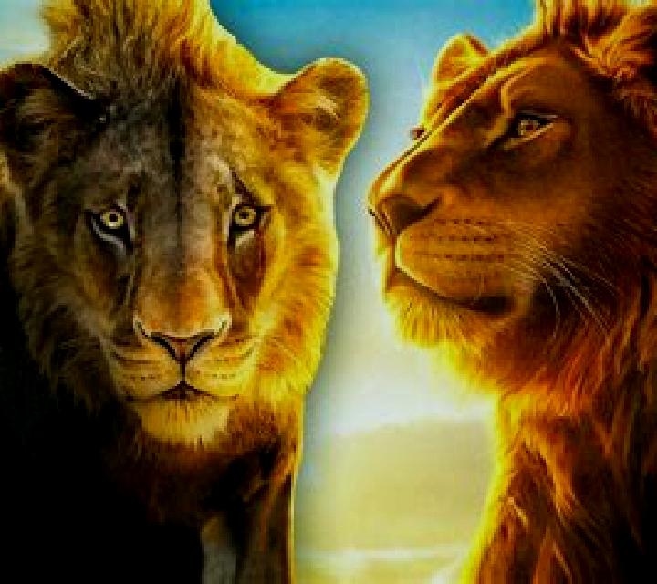 King The Lion Heart SA slot machine