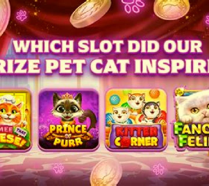 Kitten Pult slot game