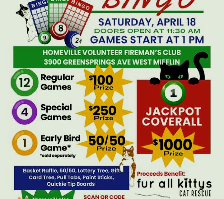 Kitty Bonus Jackpot (Pull Tabs) online slot