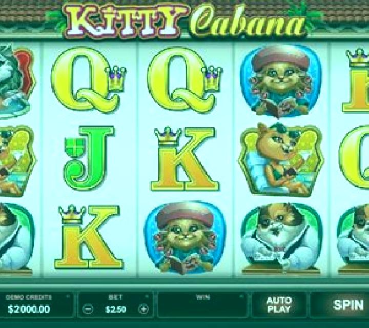 Kitty Cabana slot