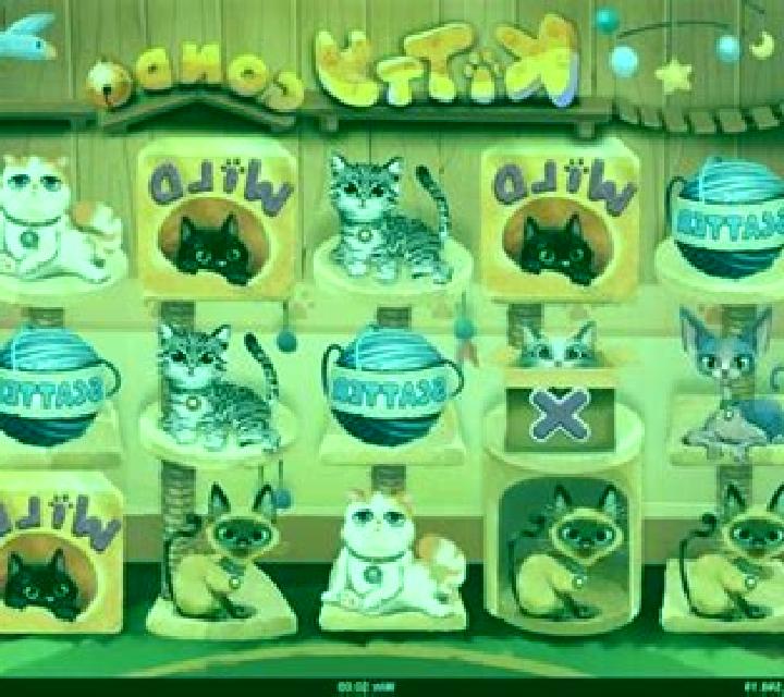 Kitty Condo slot