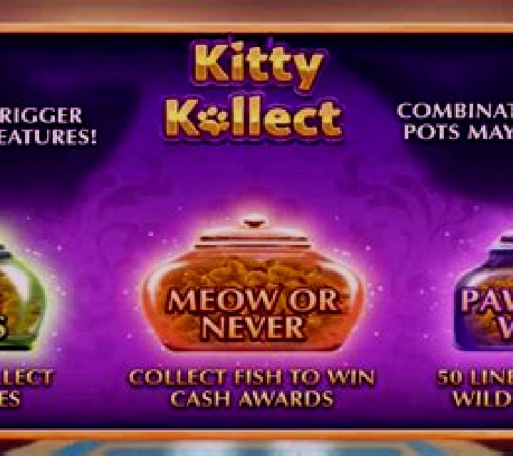 Kitty Kollect slot game