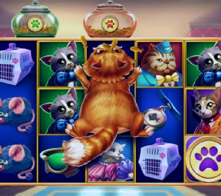 Kitty Kollect slot