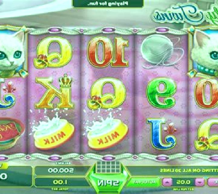 Kitty Twins online slot