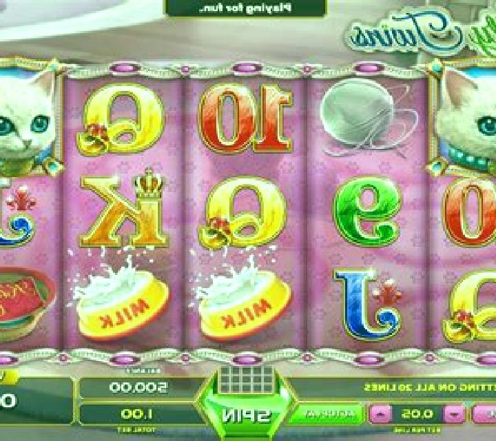 Kitty Twins slot game