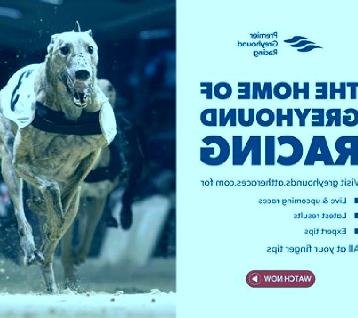 KM Virtual Greyhound Racing online slot