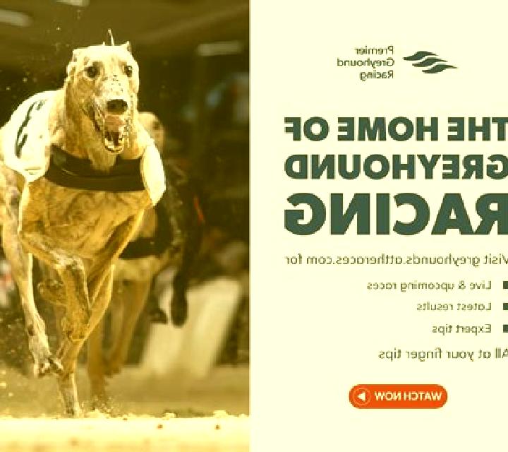 KM Virtual Greyhound Racing slot game