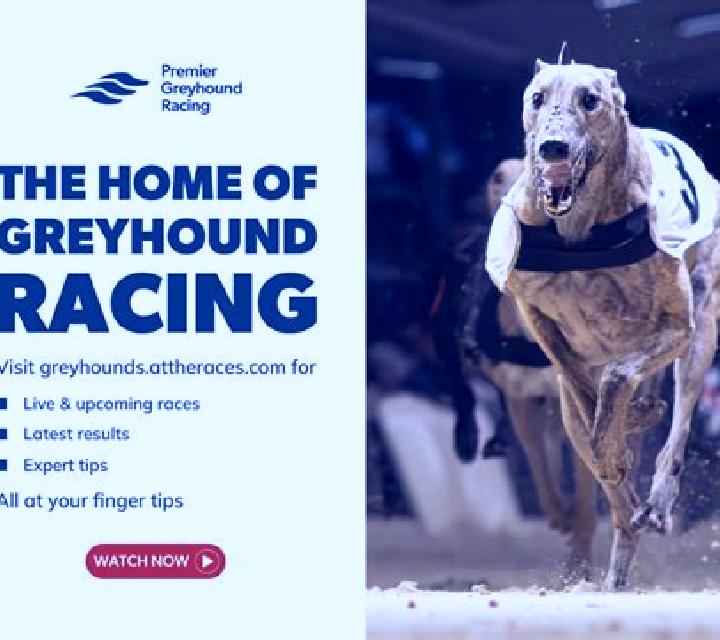 KM Virtual Greyhound Racing slot