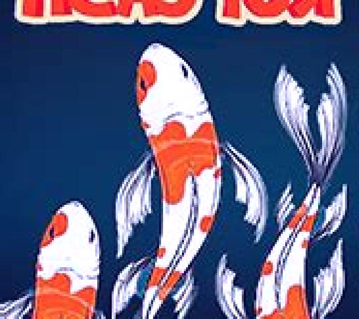 Koi Cash slot