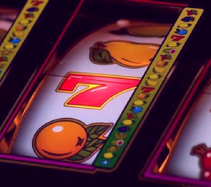Krötenwanderung slot machine