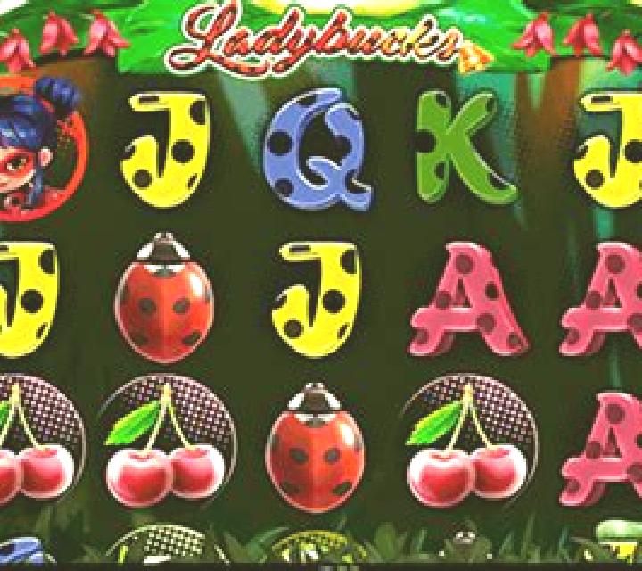 Ladybucks slot