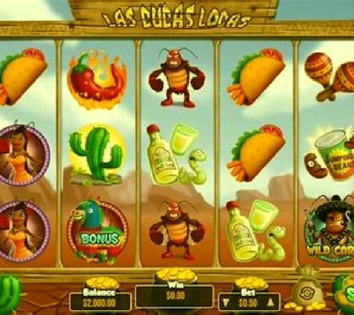 Las Cucas Locas slot machine