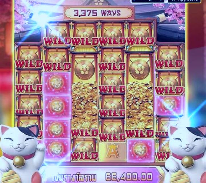 Lava Cat slot game
