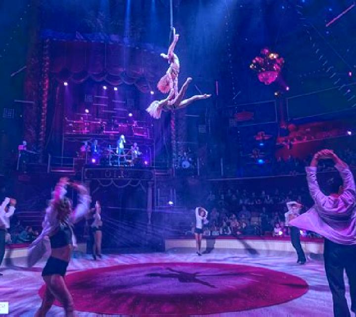 Le Cirque online slot