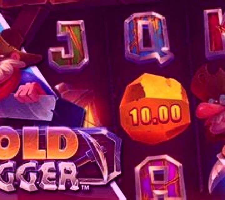 Le Digger slot machine