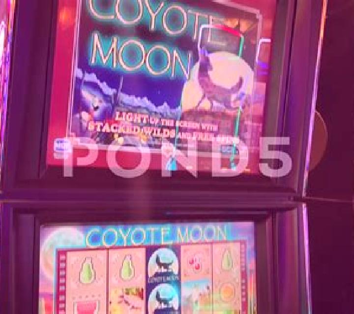 Legend of the Moon online slot