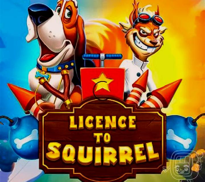 Licence to Squirrel slot game