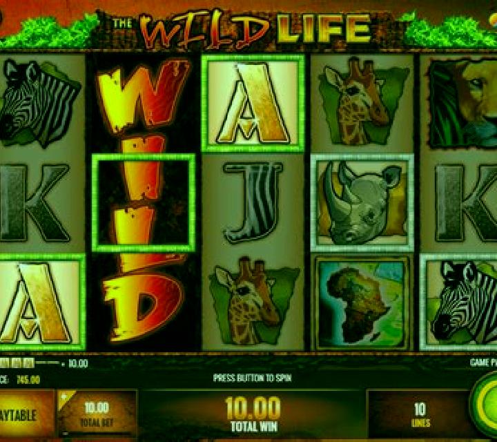 Life after Life slot game