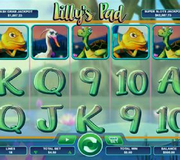 Lilly s Pad online slot