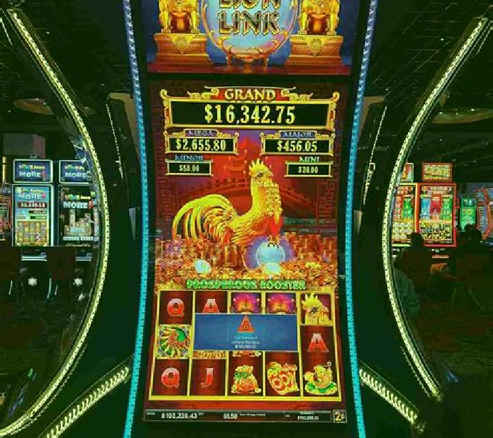 Lion Fortune slot game