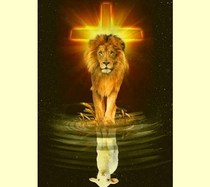 Lion of the East online slot