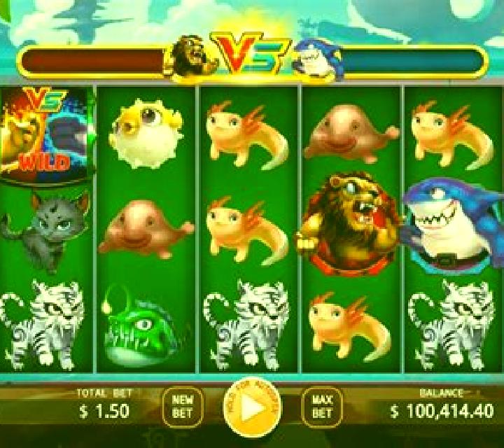 Lion vs Shark slot