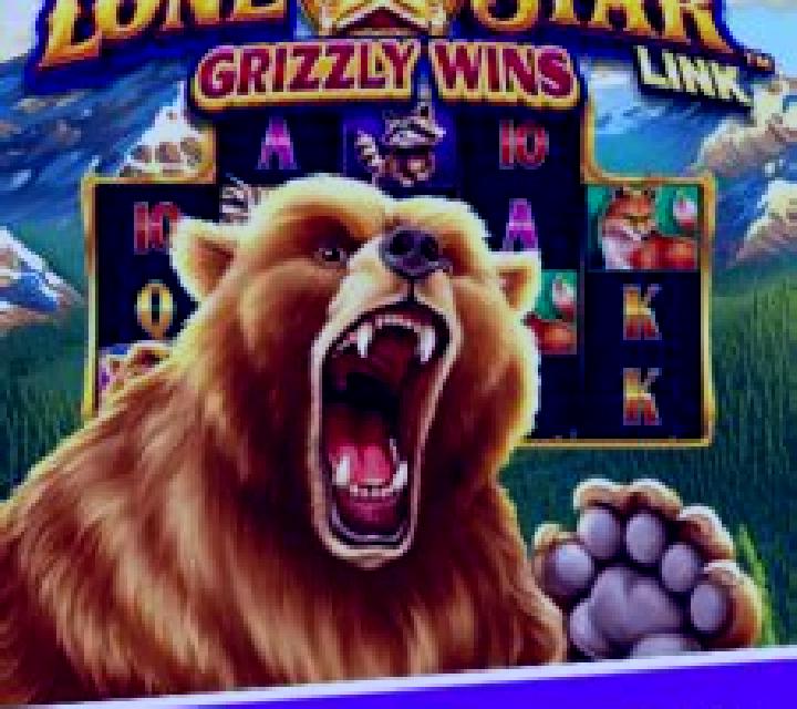 Lone Star Link Grizzly Wins slot machine