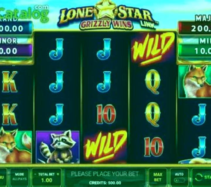 Lone Star Link Grizzly Wins slot