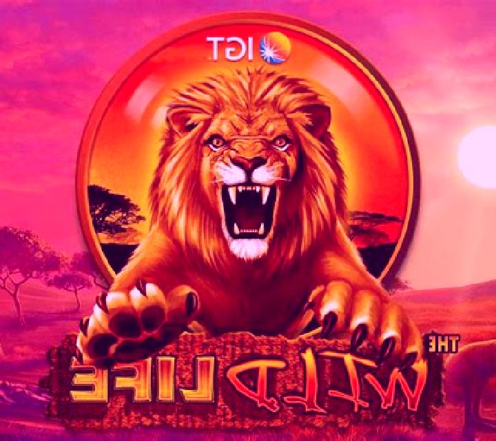 Long And Happy Life slot game