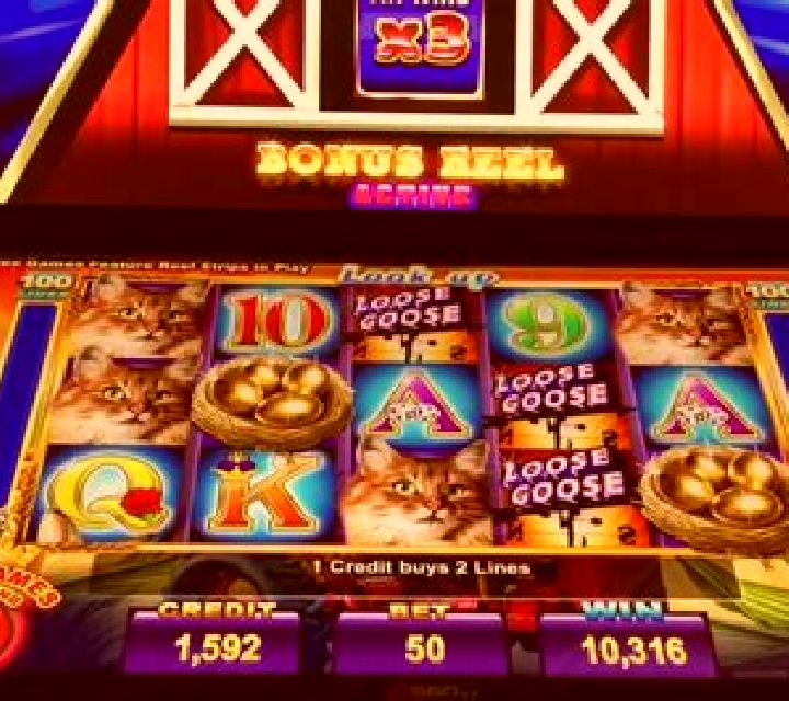 Loose Goose slot machine