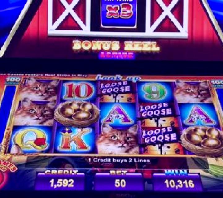 Loose Goose slot