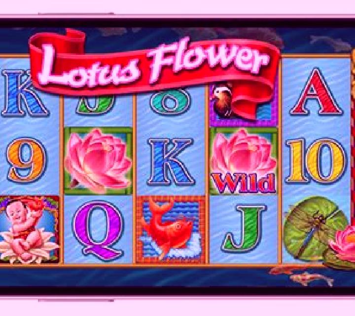 Lotus Flower slot game