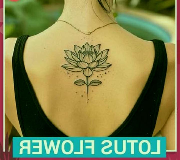 Lotus Luck Safe Zone online slot