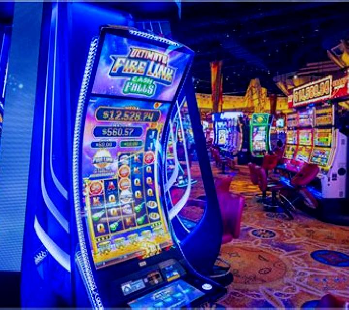 Lotus Luck Safe Zone slot