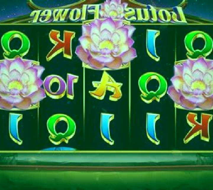 Lotus slot game